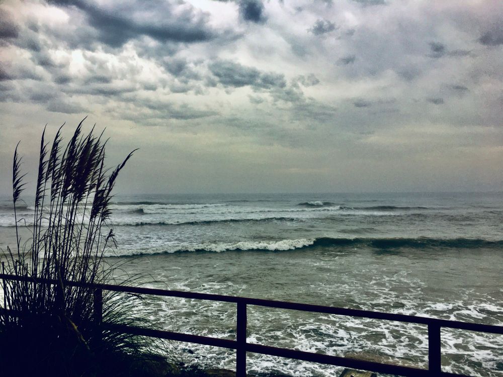 Storm clouds are gathered over the Mediterranean. Reeds are swaying in the wind to the left of the frame. The waves are coming in heavy. A fence separates us from the sea. 