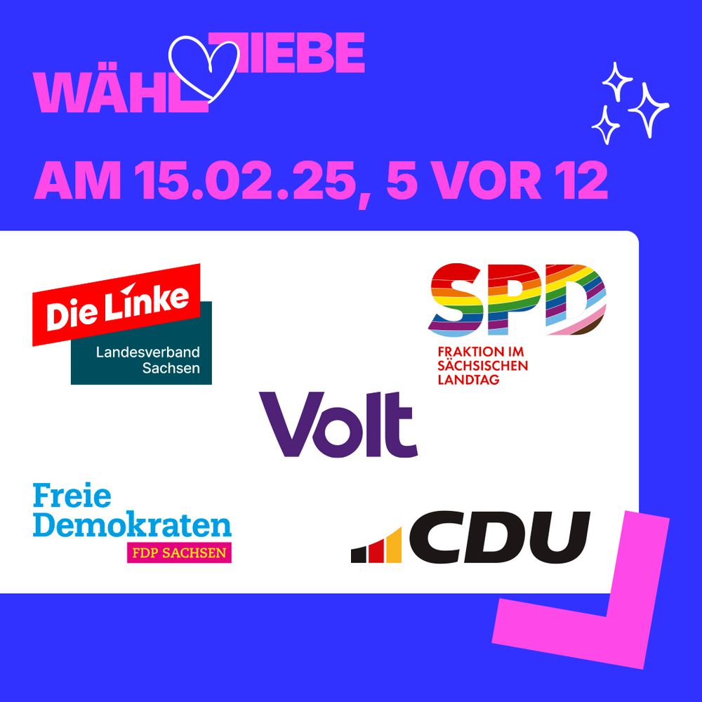 oben: das Logo der Kampagne "Wähl Liebe"
darunter: "am 15.02.25, 5 vor 12"
mittig: Die Logos der Partei Die Linke Landesverband Sachsen, SPD Fraktion Sachsen, Volt, FDP Sachsen und der CDU 