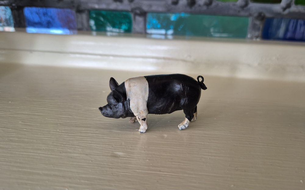 'Britains' Saddleback pig children's toy dated 1971 and found in a ditch.