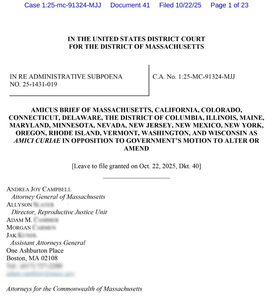 Amicus brief cover page
