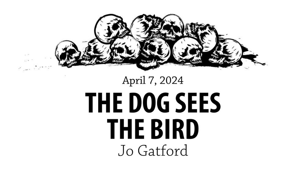 The dog sees the bird by Jo Gatford