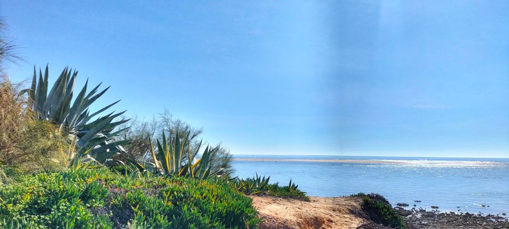 Foto del mar entre dunas y matorrales