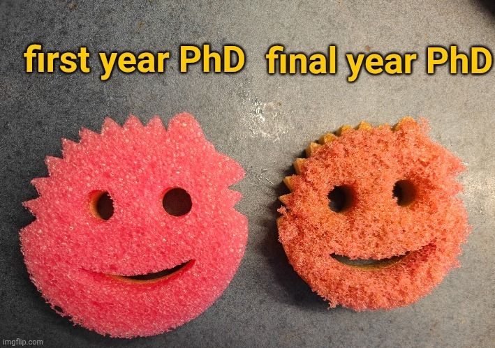 Two dish scrubs, of the Scrub Daddy brand, so they're both with smiley faces. One is new and looks fresh and is labelled as being a first year PhD, all full of hope and energy. The other is old and looks withered and has lost colour, and is labelled as being a final year PhD. But the old one is also still smiling!