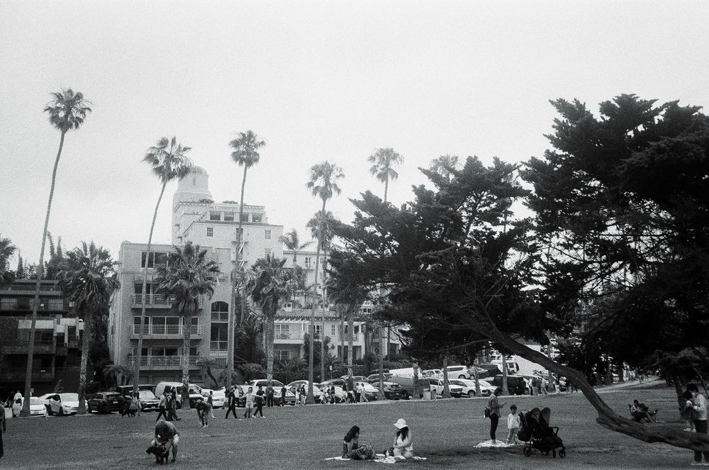 Grass patch near the beach in La Jolla with people picnicking and palm trees in the background. Taken with Kentmere 400. 