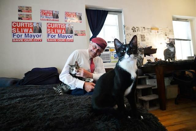 Curtis sliwa with four cats 