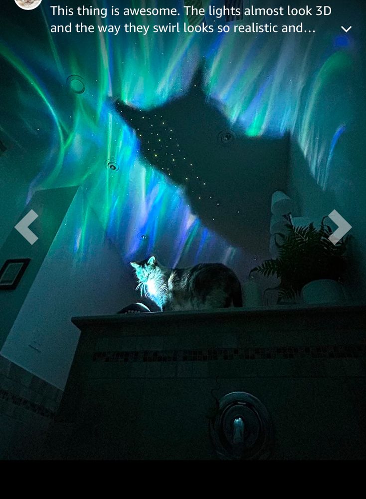 Amazing lamp review: This thing is awesome. The lights almost look 3D and the way they swirl looks so realistic and...

Image: a lamp projecting colorful aurora borealis like lights on the ceiling of a room but a cat sitting in front of the lamp leaves an enormous cat silhouette on the wall 