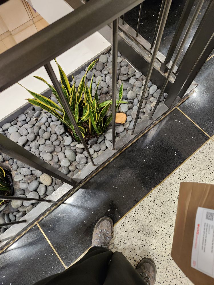 Decorative stone-and-plant behind a safety rail on a second story mezzanine. A slice of wheat bread lies on the stones