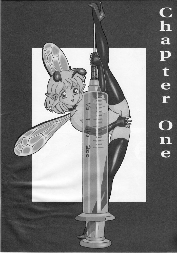 volume 1, page 3 of Bondage Fairies Extreme