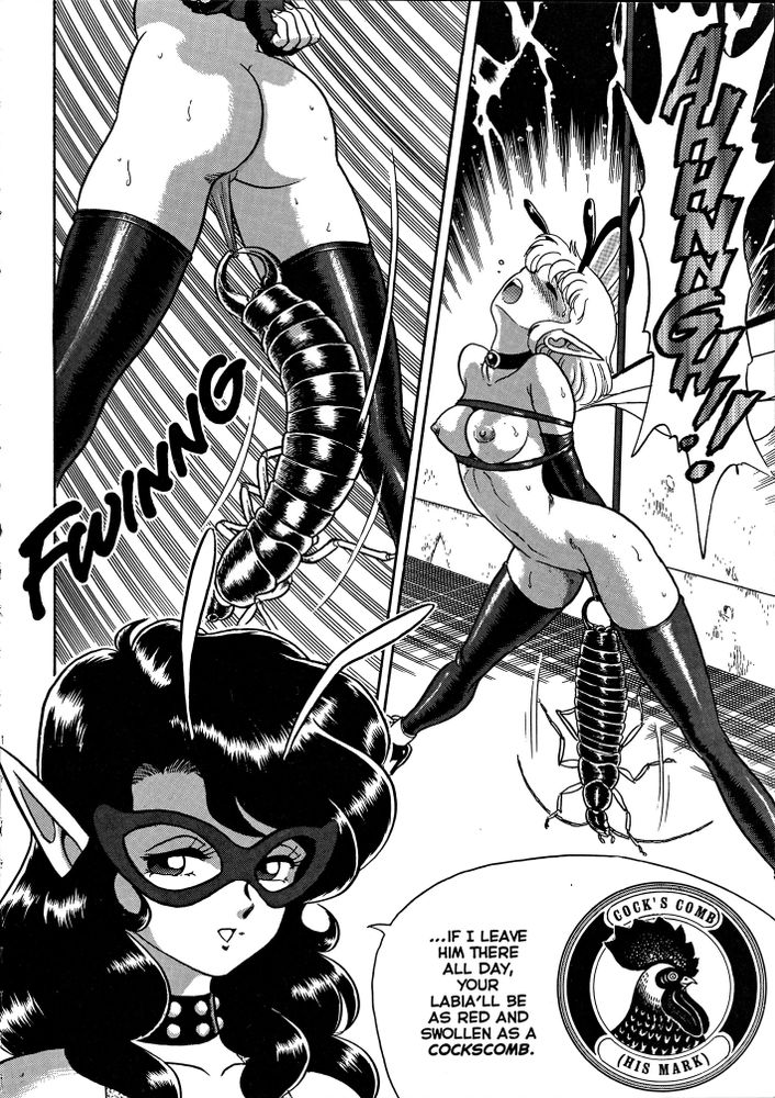 volume 3, page 6 of The Original Bondage Fairies