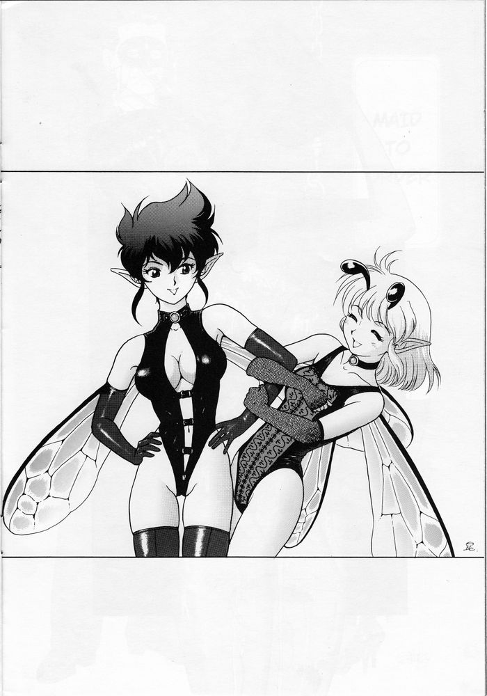volume 2, page 19 of Bondage Fairies Extreme