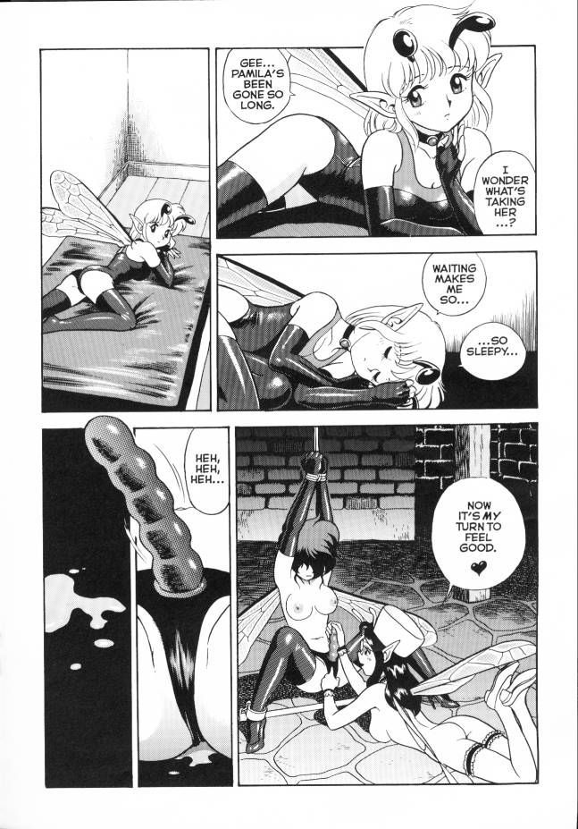 volume 4, page 14 of Bondage Fairies Extreme