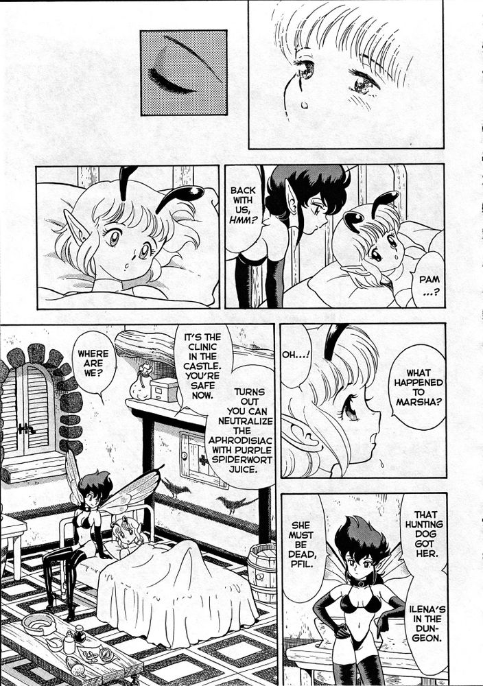 volume 11, page 21 of The Original Bondage Fairies