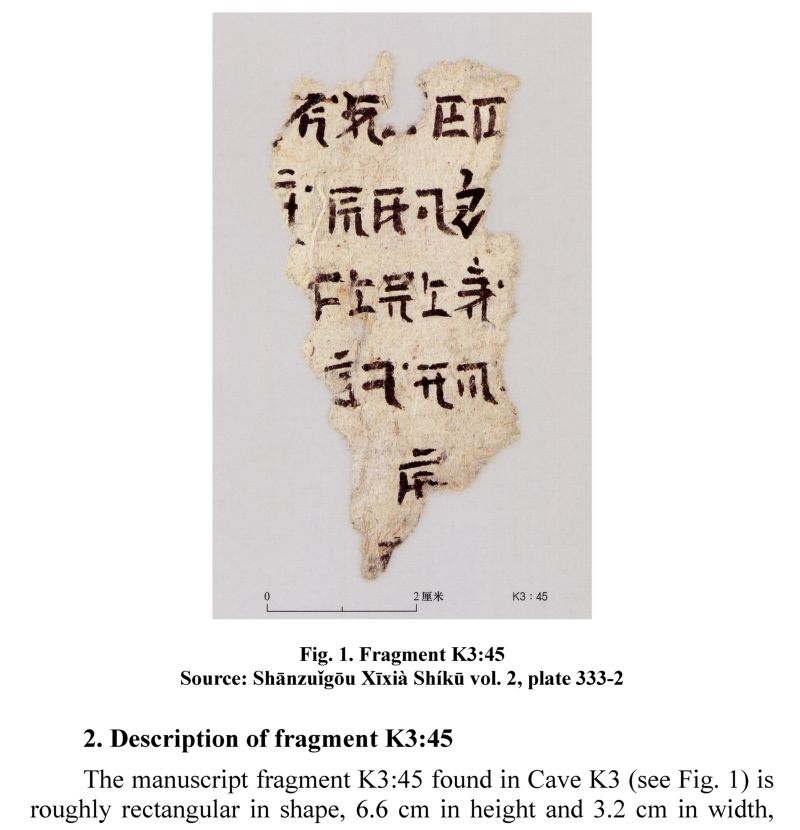 Zaytsev, Viacheslav, and Andrew West. “Preliminary study of a manuscript fragment in an unidentified script from the Western Xia Shānzuǐgōu site”.