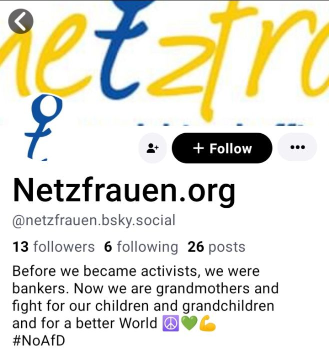 Screenshot der Netzfrauenseite.