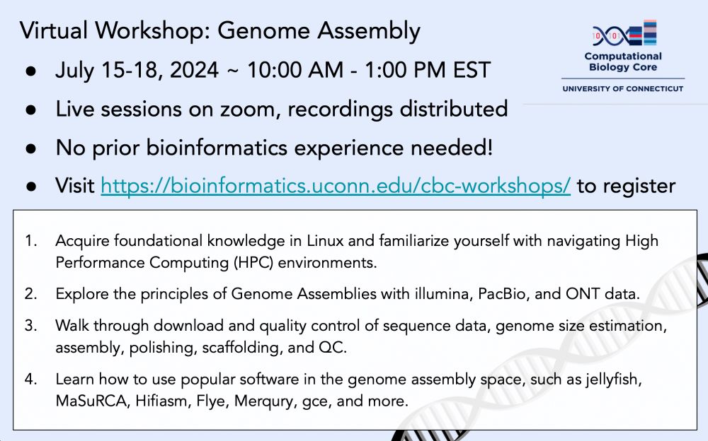 Genome Assembly Workshop advertisement:

● July 15-18, 2024 ~ 10:00 AM - 1:00 PM EST
● Live sessions on zoom, recordings distributed
● No prior bioinformatics experience needed!
● Visit https://bioinformatics.uconn.edu/cbc-workshops/ to register

Details:
1. Acquire foundational knowledge in Linux and familiarize yourself with navigating High Performance Computing (HPC) environments.
2. Explore the principles of Genome Assemblies with illumina, PacBio, and ONT data.
3. Walk through download and quality control of sequence data, genome size estimation, assembly, polishing, scaffolding, and QC.
4. Learn how to use popular software in the genome assembly space, such as jellyfish, MaSuRCA, Hifiasm, Flye, Merqury, gce, and more.