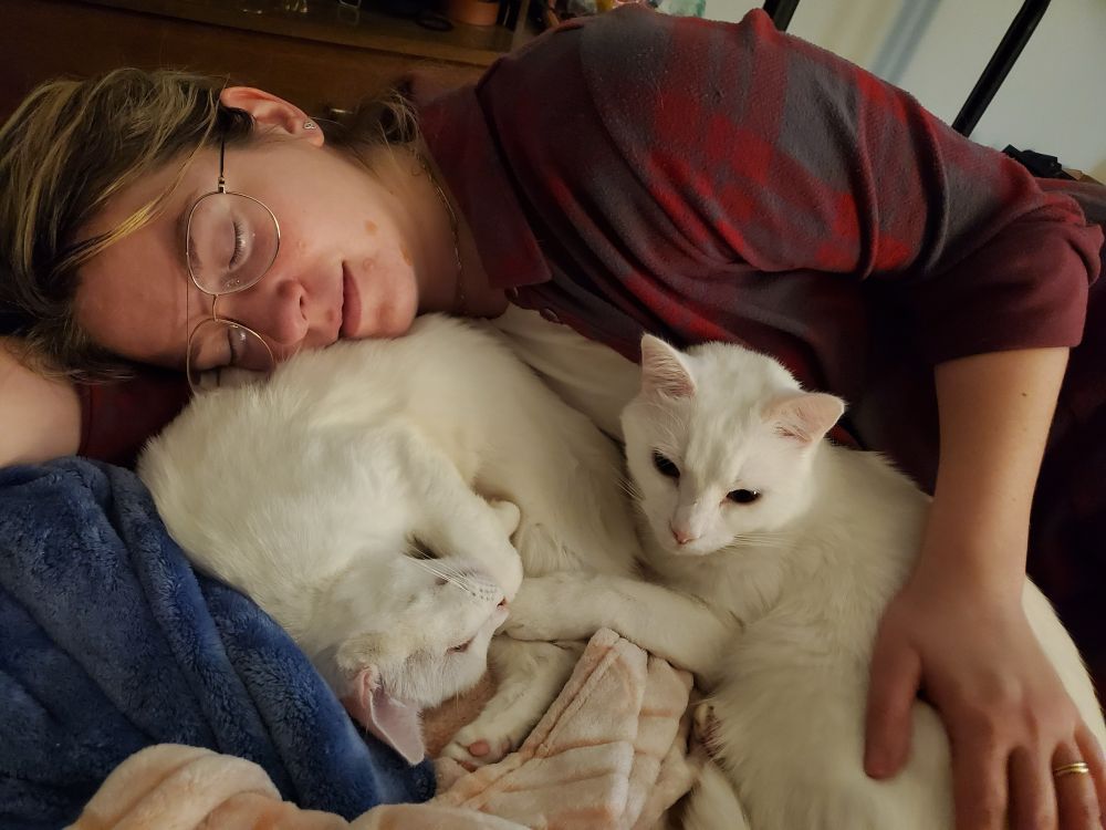 two white cats are snuggling on a pile of blankets. one is laying down with one paw extended, the other is curled up like a powdered donut. I’m laying down next to them with my face on one cat and my arm around another 