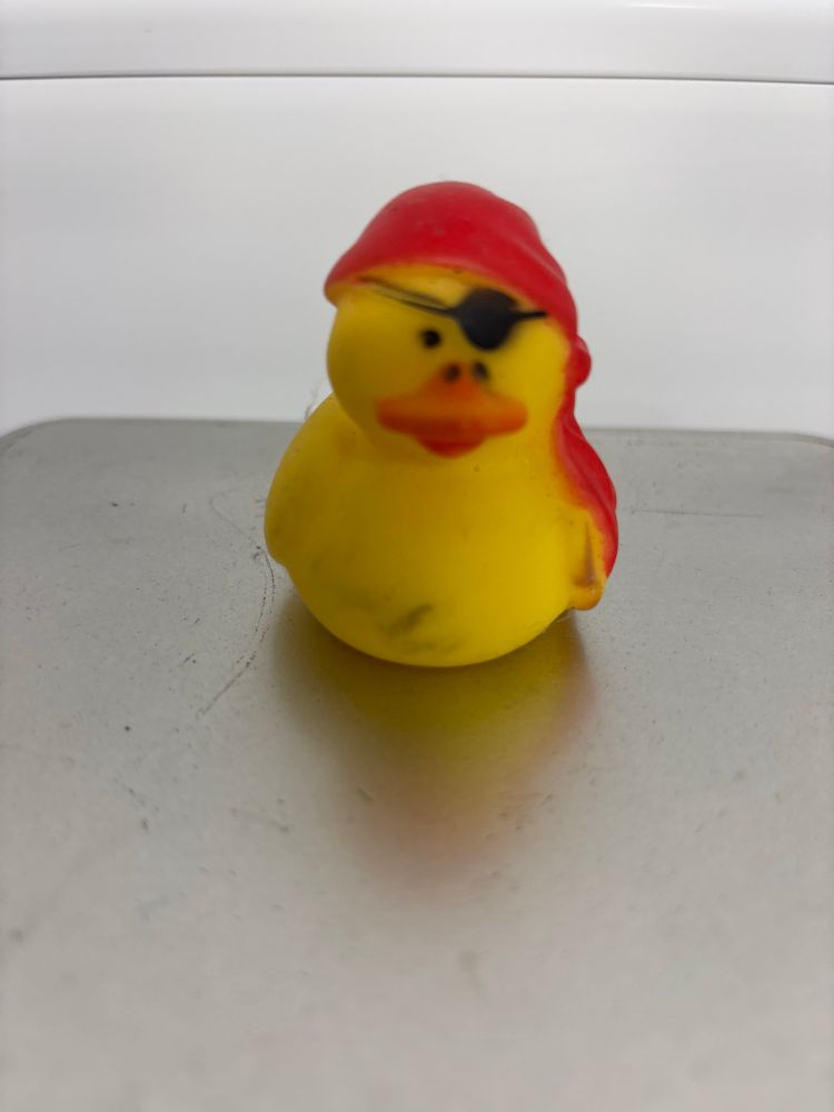 Pirate duck