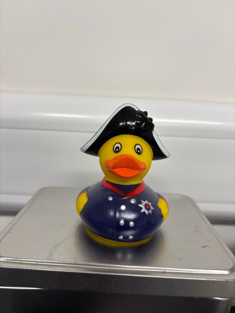 Nelson duck