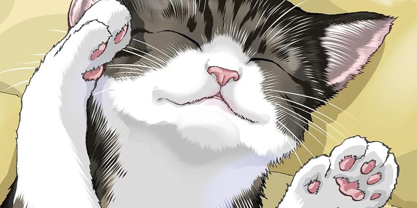 Closeup of cover of Cat + Crazy, v.1. By Wataru Nadatani