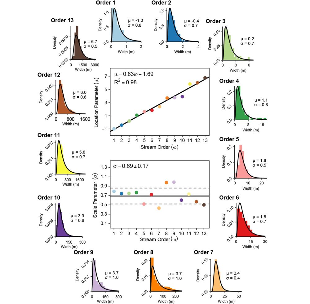 River widths of each stream order exhibit predictable log-normal distributions.