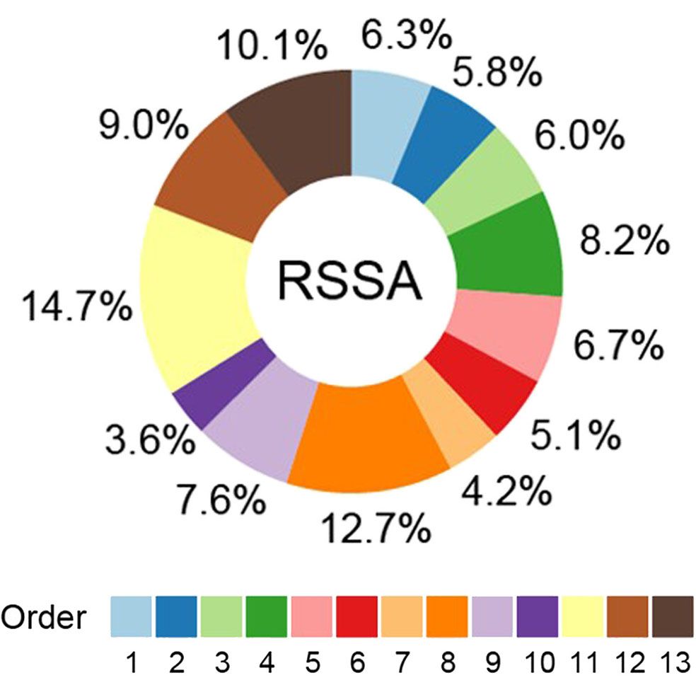 Donut chart shows the relative contributions of each stream order to basin total river and stream surface area (RSSA)