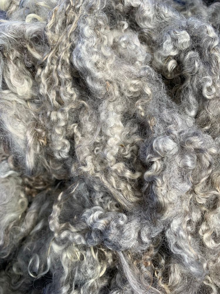 Whit and gray Gotland sheep wool. Curly with good crimp. 
