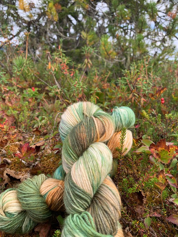 Two skeins of green brown and tan variegated yarn laying on the ground. 
