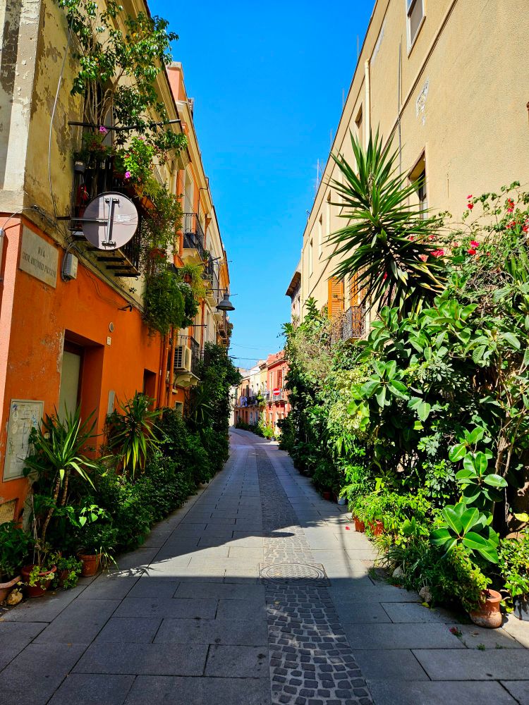 Streetscape as described. 