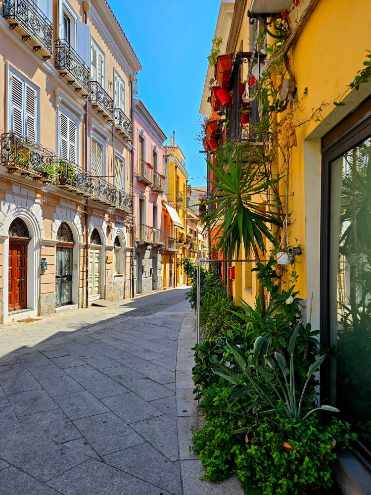 Streetscape as described. 