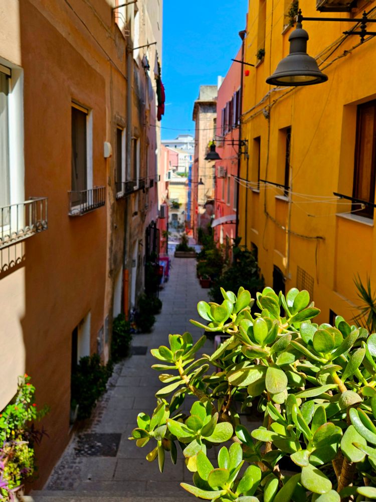 Streetscape as described. 