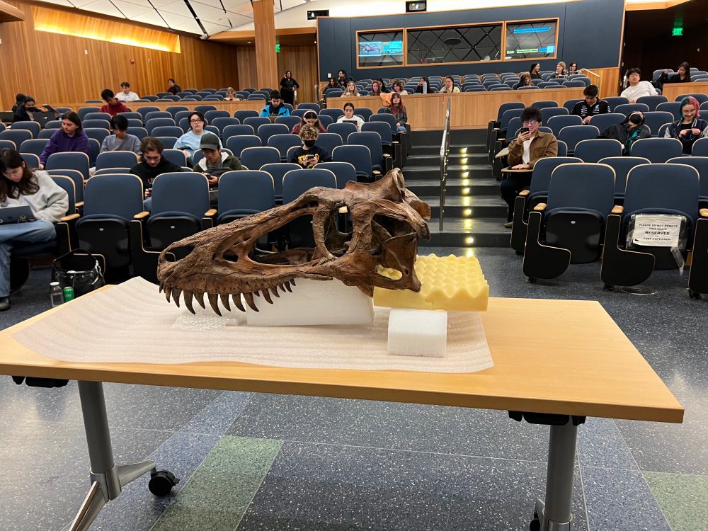 A brown replica of a T. rex sits on a table in front of a lecture hall with rows of blue seats. Students are seated sporadically throughout.