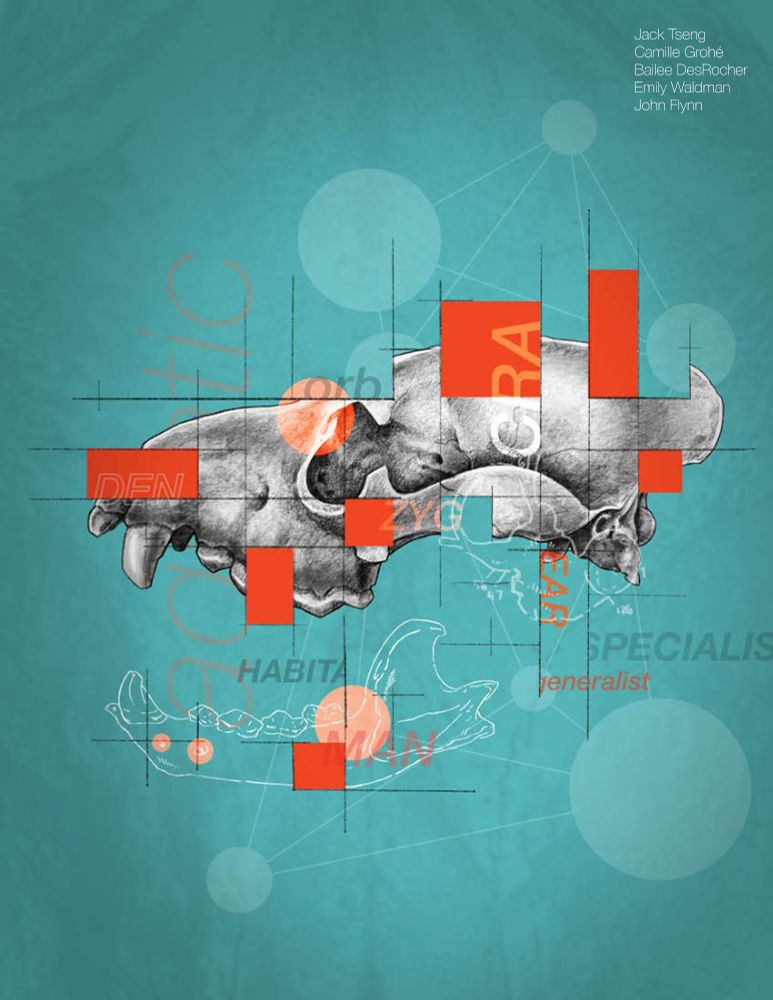A grayscale illustration of a hyena skull on turquoise background, overlaid by letters and a network of circles that represent the complex interconnections of skull bones produced by macroevolutionary change.
