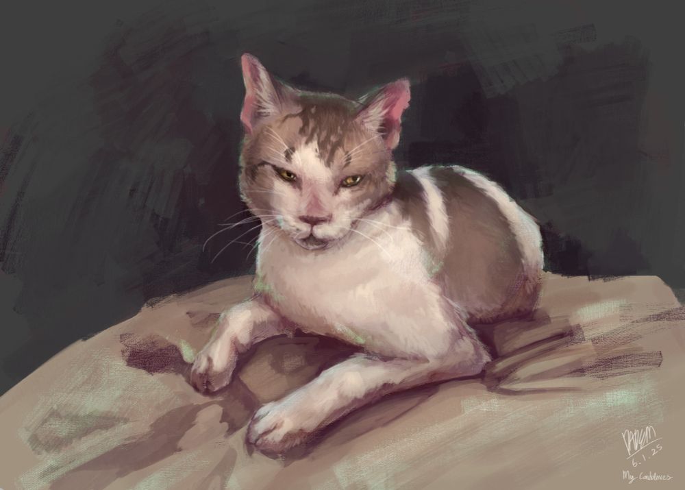 painting of an old cat, adjusted slightly with the purpose of preserving its slightly more youthful appearance.