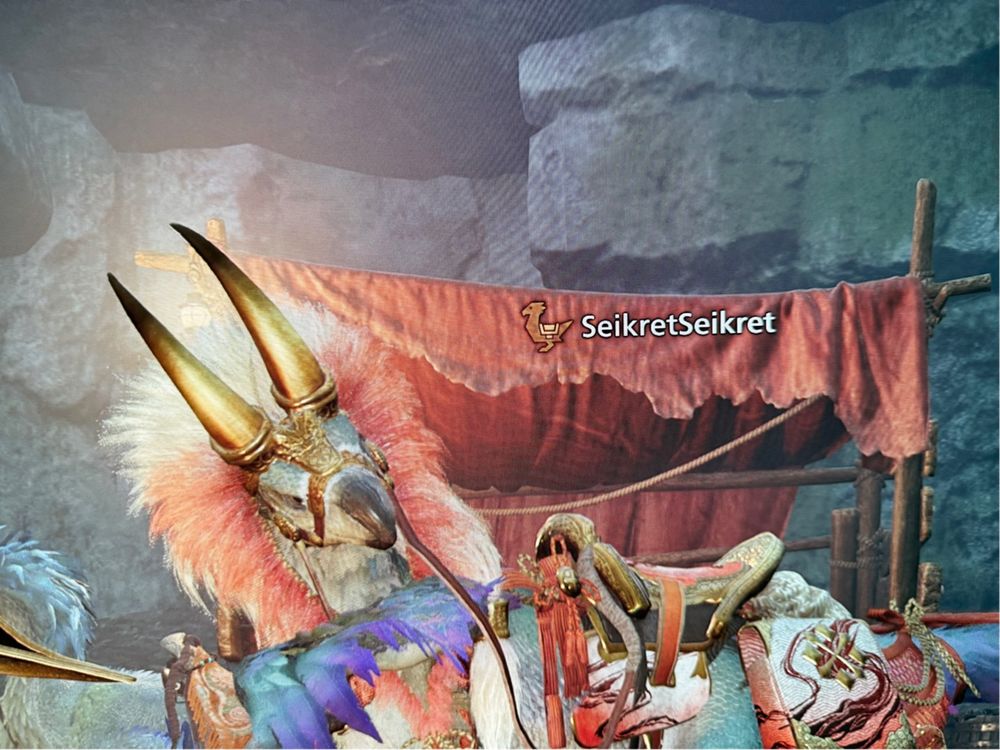 My Seikret’s name is SeikretSeikret. I’ve got a Seikret.