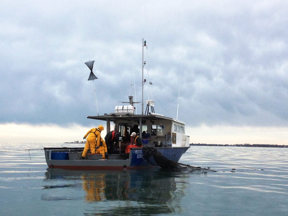 Thanks to decades of catch-and-release fishing and shifting ecological factors, Lake St. Clair has become a world-class destination for smallmouth bass, just in time for the 2025 Yokohama Tire Bassmas...