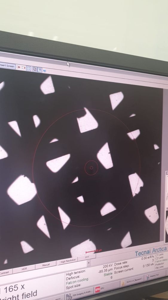 bad cryoEM grid imaged at low mag