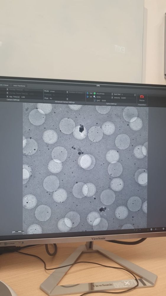 bad cryoEM grid imaged at high mag