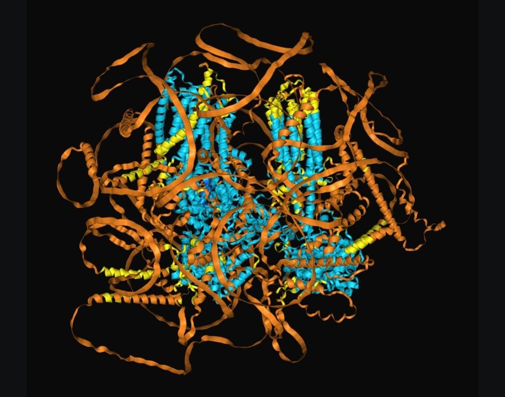 A 500 kDa protein model generated by AlphaFold 3 