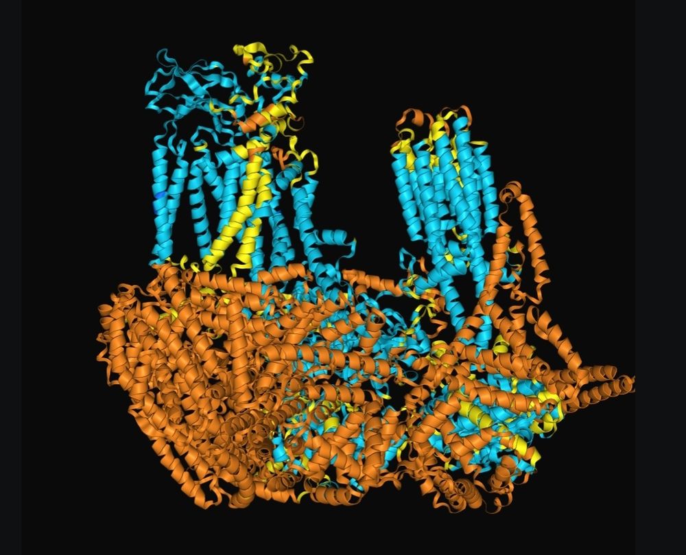 AF3 model of the protein with the binding partner
