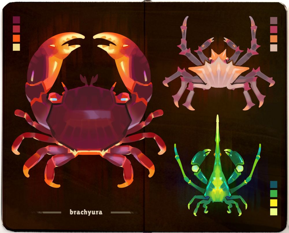 A sketchbook page of 3 different kinds of crabs. Each one has a color palette next to it. The word brachyura is written at the bottom.