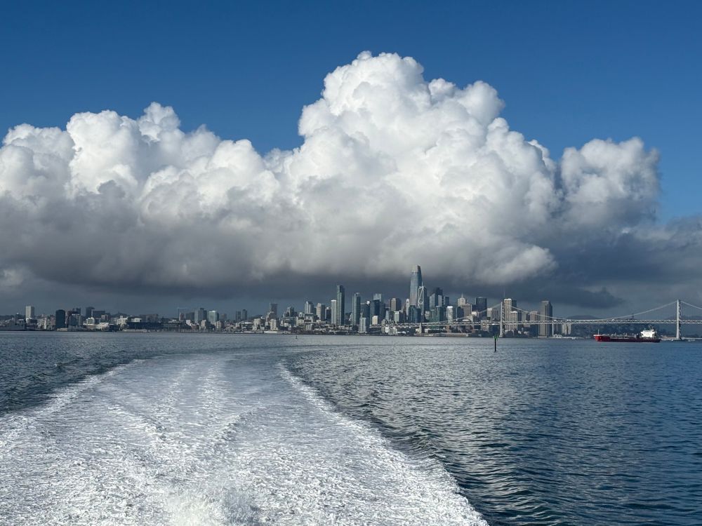 downtown SF as seen from the ferry