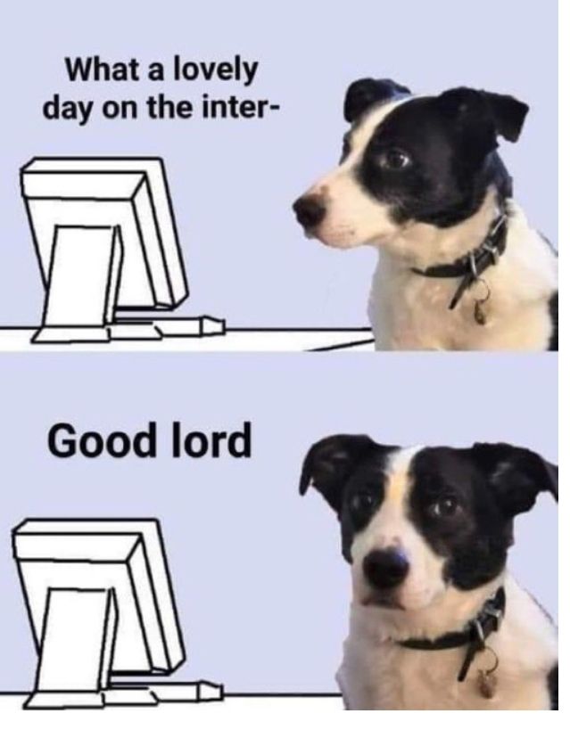 Comment image