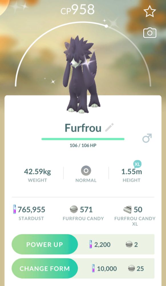 A shiny furfrou pokemon