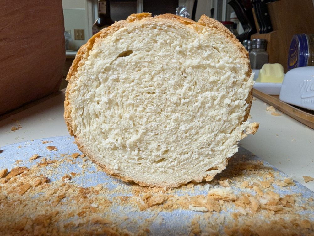 A cylindrical loaf of bread, viewed straight-on. It is white and surrounded by brown crumbs of crust.