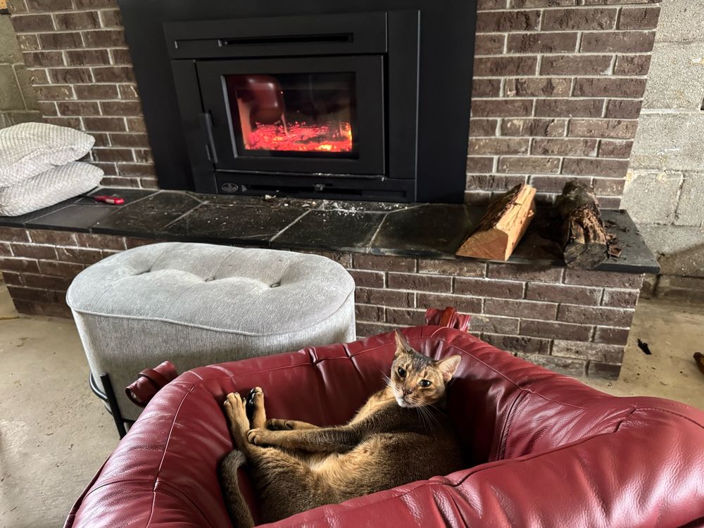 An Abyssinian cat lounging in a maroon chair in front of an ottoman and a fireplace.