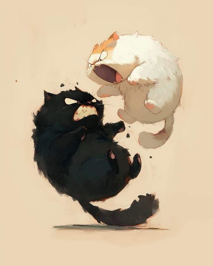 illustrating of a black cat and a white cat fighting in mid air 