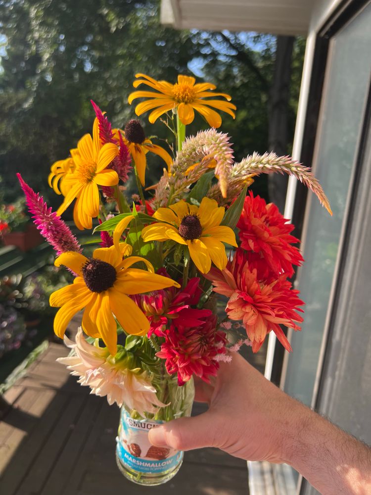 A bright bouquet of summer flowers including: yellow tithonia, golden rudbeckia, orange and pink dahlias, and some celosia in pale or zazzy pink! (yes, it's a reused Marshmallow topping glass jar) 