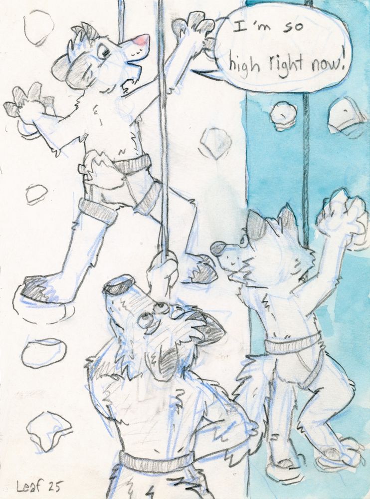 A goat is climbing up a wall in a climbing gym. He's wearing a climbing harness and is secured into a top-roping system. A wolf holds the other end of the rope as a belayer. A fox is also climbing on another route, also wearing a climbing harness but is hooked into an anto-belay system. The wolf and the fox watch the goat scamper up the wall as the goat says, "I'm so high right now!"