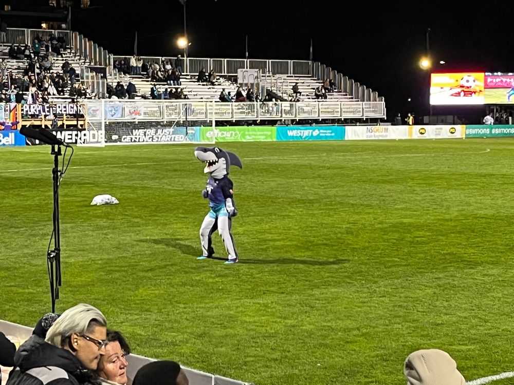 Tides mascot dancing at halftime. She is a great white shark…anthropomorphized.