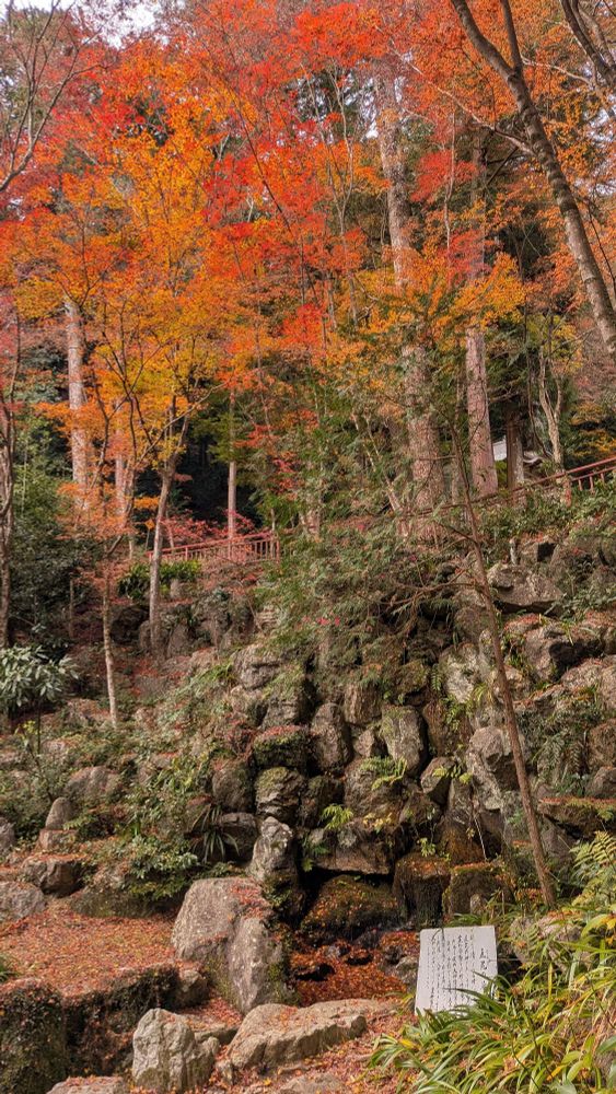 石積みで造られた滝が落ちる小さめの行場。岩場の上には紅葉したモミジが立ち並んでいる。